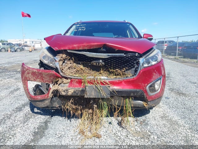Продаж на аукціоні авто 2016 Kia Sorento 3.3l Ex/3.3l Ex+, vin: 5XYPHDA56GG176208, номер лоту: 12670160