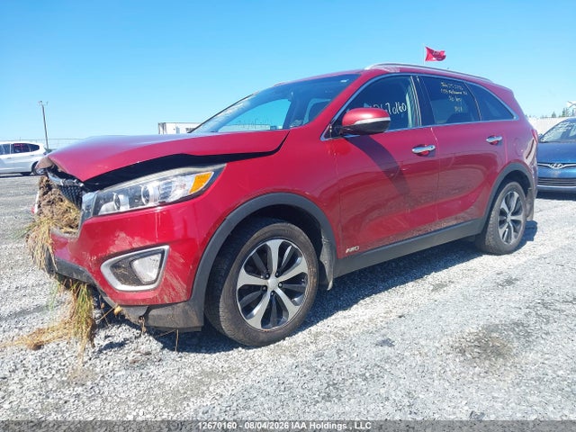 Продаж на аукціоні авто 2016 Kia Sorento 3.3l Ex/3.3l Ex+, vin: 5XYPHDA56GG176208, номер лоту: 12670160