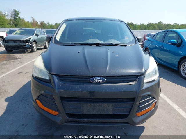 12670273 :رقم المزاد ، 1FMCU0F73DUB86763 vin ، 2013 Ford Escape مزاد بيع