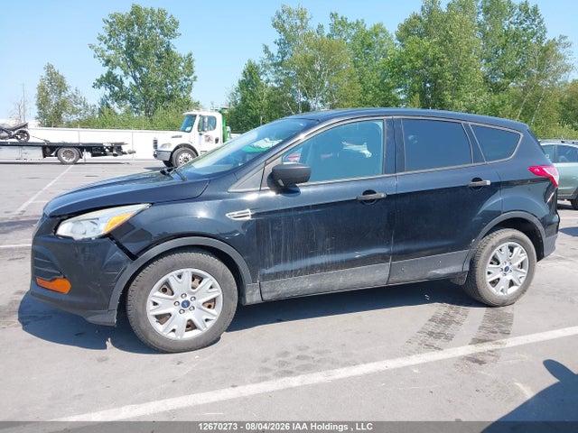 12670273 :رقم المزاد ، 1FMCU0F73DUB86763 vin ، 2013 Ford Escape مزاد بيع