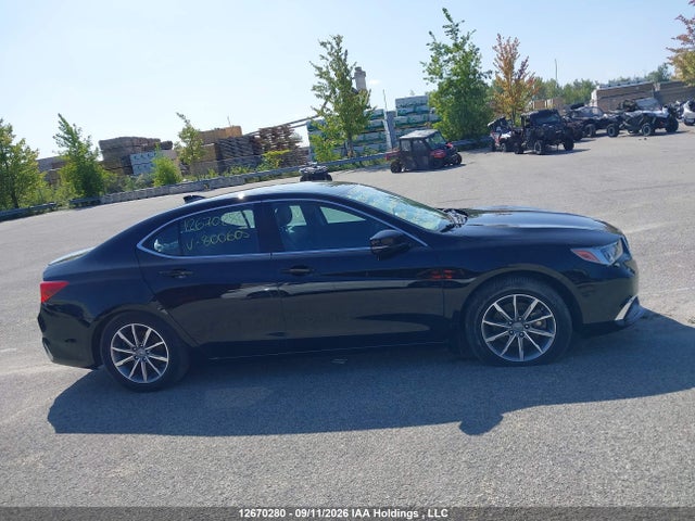 19UUB1F39KA800605 Acura TLX