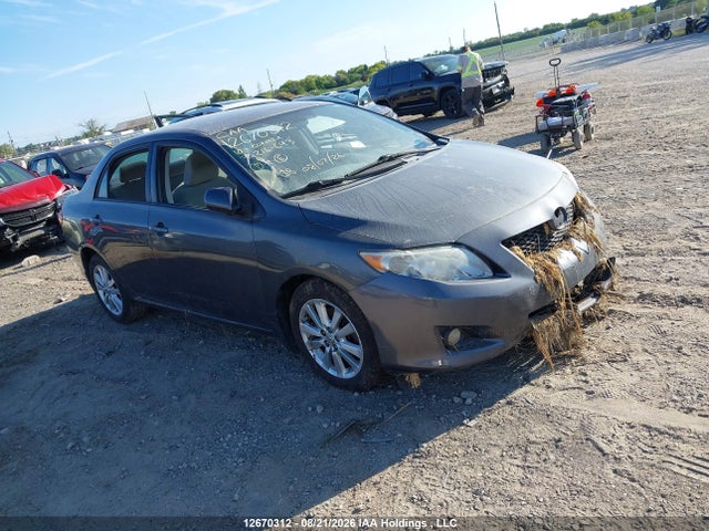 12670312 :رقم المزاد ، 2T1BU4EE2AC216643 vin ، 2010 Toyota Corolla S/le/xle مزاد بيع