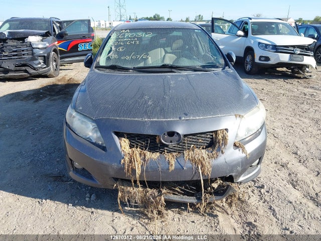 12670312 :رقم المزاد ، 2T1BU4EE2AC216643 vin ، 2010 Toyota Corolla S/le/xle مزاد بيع