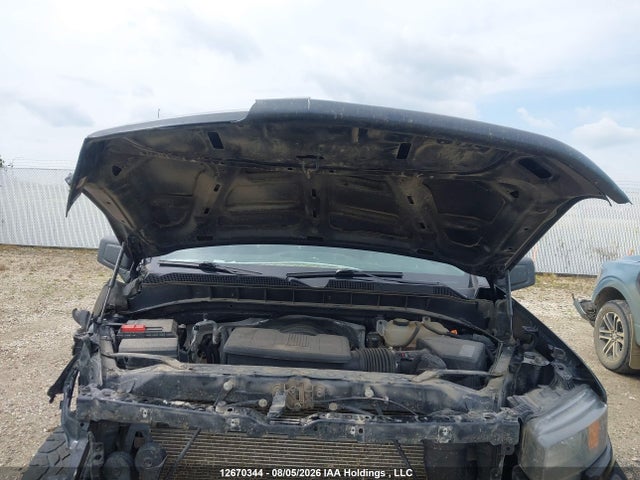12670344 :رقم المزاد ، 1GCPYCEF9LZ273198 vin ، 2020 Chevrolet Silverado K1500 Trail Boss Custom مزاد بيع