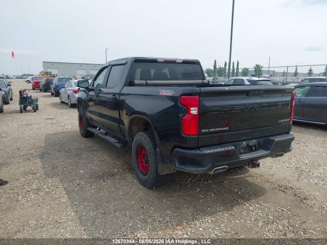 12670344 :رقم المزاد ، 1GCPYCEF9LZ273198 vin ، 2020 Chevrolet Silverado K1500 Trail Boss Custom مزاد بيع