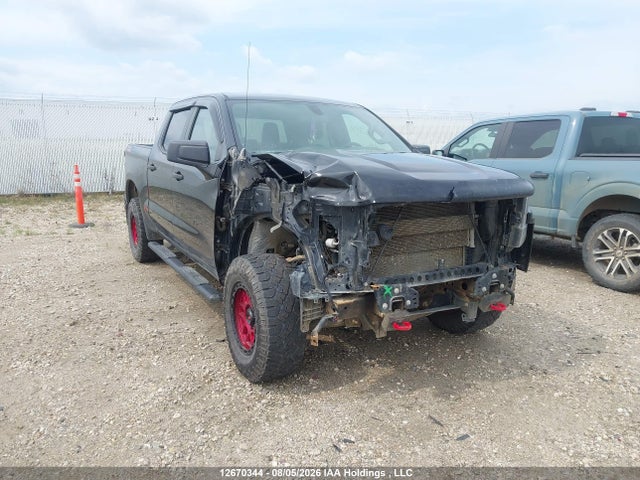 12670344 :رقم المزاد ، 1GCPYCEF9LZ273198 vin ، 2020 Chevrolet Silverado K1500 Trail Boss Custom مزاد بيع