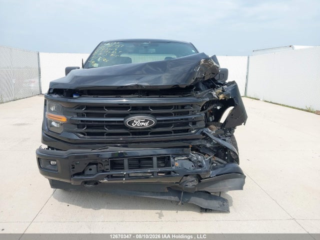 Продажа на аукционе авто 2024 Ford F150 Xlt, vin: 1FTEW3LP2RKF23309, номер лота: 12670347