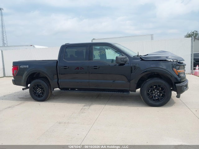 Продажа на аукционе авто 2024 Ford F150 Xlt, vin: 1FTEW3LP2RKF23309, номер лота: 12670347