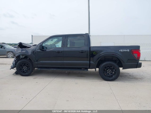 Продажа на аукционе авто 2024 Ford F150 Xlt, vin: 1FTEW3LP2RKF23309, номер лота: 12670347