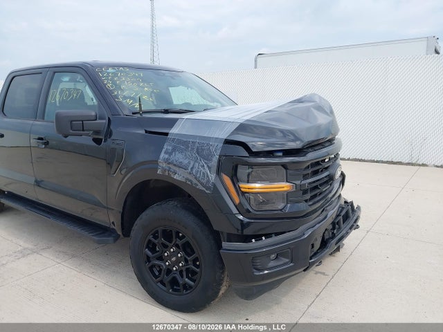 Продажа на аукционе авто 2024 Ford F150 Xlt, vin: 1FTEW3LP2RKF23309, номер лота: 12670347
