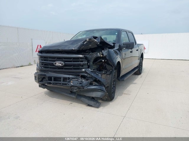 Продажа на аукционе авто 2024 Ford F150 Xlt, vin: 1FTEW3LP2RKF23309, номер лота: 12670347