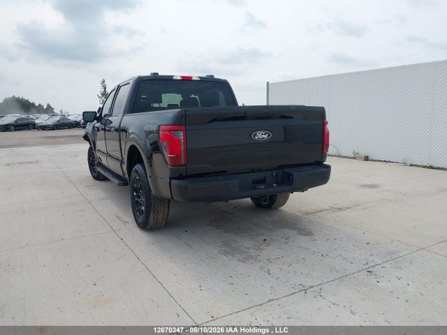 Продажа на аукционе авто 2024 Ford F150 Xlt, vin: 1FTEW3LP2RKF23309, номер лота: 12670347