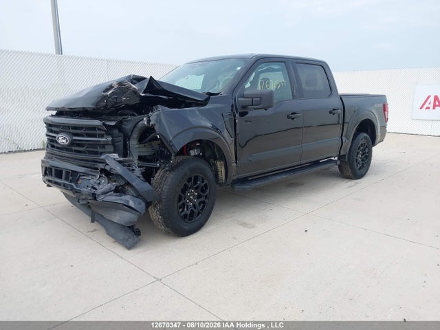 Продажа на аукционе авто 2024 Ford F150 Xlt, vin: 1FTEW3LP2RKF23309, номер лота: 12670347
