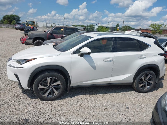 Продаж на аукціоні авто 2021 Lexus Nx 300, vin: JTJHARDZXM5025037, номер лоту: 12670464
