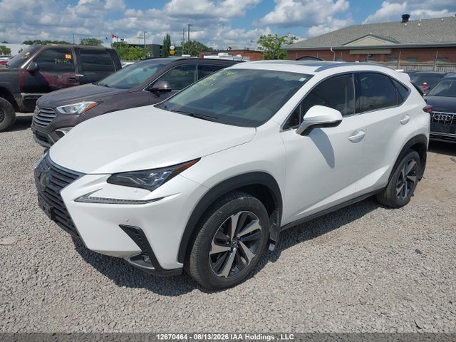 Продаж на аукціоні авто 2021 Lexus Nx 300, vin: JTJHARDZXM5025037, номер лоту: 12670464