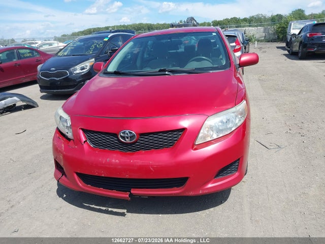 12662727 :رقم المزاد ، 2T1BU4EE4AC353518 vin ، 2010 Toyota Corolla Ce مزاد بيع