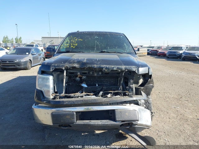 Продажа на аукционе авто 2013 Ford F150 Super Cab, vin: 1FTFX1EF0DFA40395, номер лота: 12670540