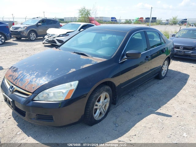 12670555 :رقم المزاد ، 1HJCM56767A800696 vin ، 2007 Honda Accord مزاد بيع
