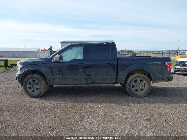 Продаж на аукціоні авто 2020 Ford F150 Supercrew, vin: 1FTEW1EP7LKD62996, номер лоту: 12670562