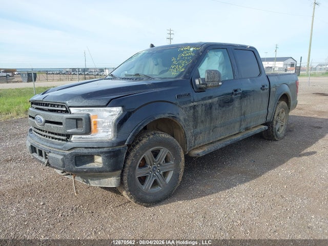 Продаж на аукціоні авто 2020 Ford F150 Supercrew, vin: 1FTEW1EP7LKD62996, номер лоту: 12670562
