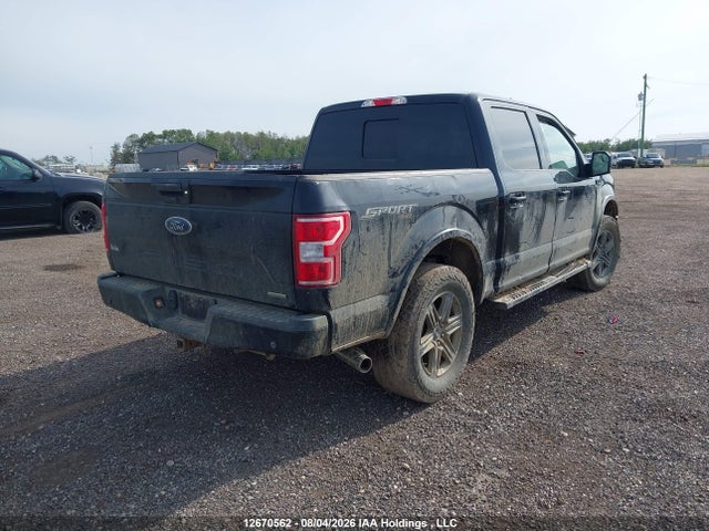 Продаж на аукціоні авто 2020 Ford F150 Supercrew, vin: 1FTEW1EP7LKD62996, номер лоту: 12670562