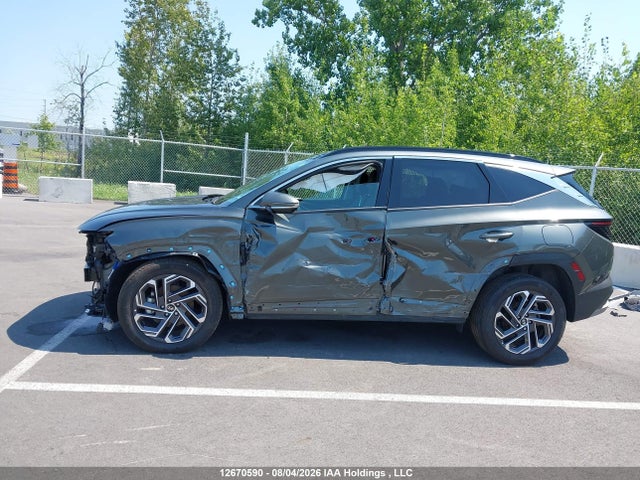 2025 Hyundai Tucson Sel Convenience მანქანა იყიდება აუქციონზე, vin: KM8JCDD12SU320398, აუქციონის ნომერი: 12670590
