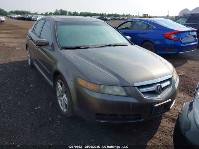 12670592 :رقم المزاد ، 19UUA66246A800797 vin ، 2006 Acura 3.2tl مزاد بيع
