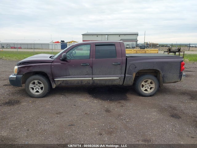 12670774 :رقم المزاد ، 1D7HW48K95S127975 vin ، 2005 Dodge Dakota Quad Slt مزاد بيع