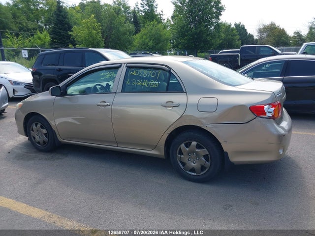 12658707 :رقم المزاد ، 2T1BU4EE1AC224636 vin ، 2010 Toyota Corolla Ce مزاد بيع