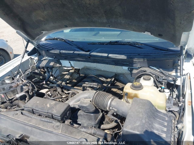 Продаж на аукціоні авто 2012 Ford F-150 Xlt, vin: 1FTFX1EF9CFB18137, номер лоту: 12666147
