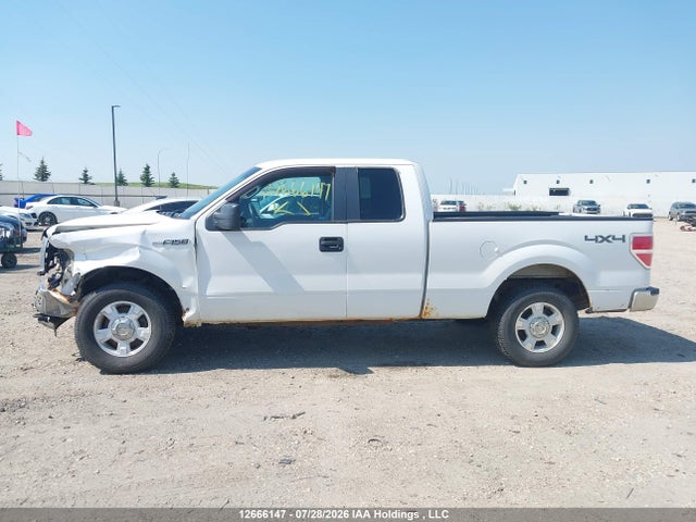 Продаж на аукціоні авто 2012 Ford F-150 Xlt, vin: 1FTFX1EF9CFB18137, номер лоту: 12666147