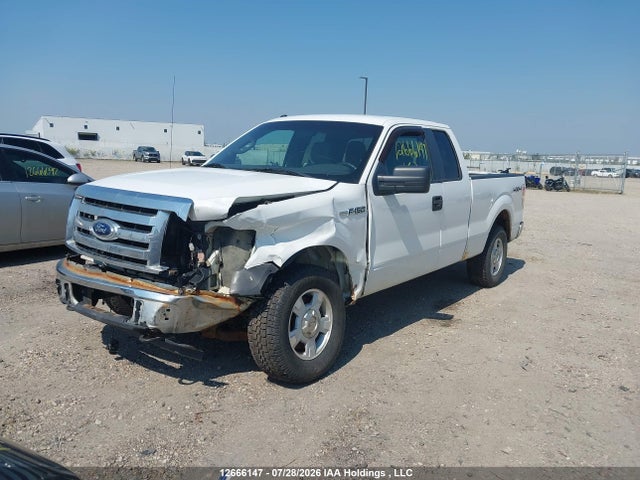 Продаж на аукціоні авто 2012 Ford F-150 Xlt, vin: 1FTFX1EF9CFB18137, номер лоту: 12666147
