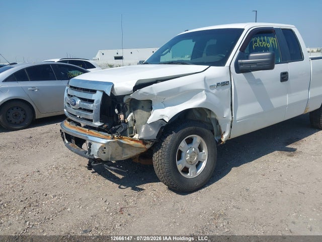 Продаж на аукціоні авто 2012 Ford F-150 Xlt, vin: 1FTFX1EF9CFB18137, номер лоту: 12666147