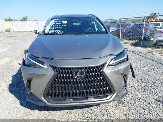 Продажа на аукционе авто 2022 Lexus Nx 350h 350h, vin: 2T2GKCEZ7NC001544, номер лота: 12670793