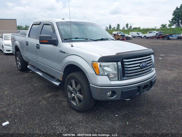 12670794 :رقم المزاد ، 1FTFW1E82AFD45283 vin ، 2010 Ford F-150 Xlt مزاد بيع