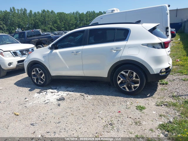 Продаж на аукціоні авто 2020 Kia Sportage Ex/ex Premium/ex Premium S/ex S/ex Tech, vin: KNDPNCAC4L7647958, номер лоту: 12670818