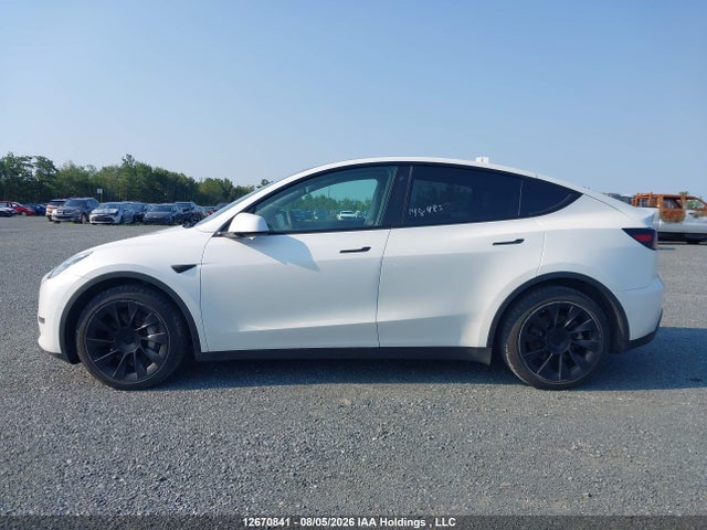 Aukcja sprzedaży 2022 Tesla Model Y, vin: 7SAYGDEEXNF469439, numer aukcji: 12670841