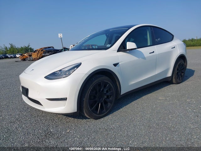 Aukcja sprzedaży 2022 Tesla Model Y, vin: 7SAYGDEEXNF469439, numer aukcji: 12670841