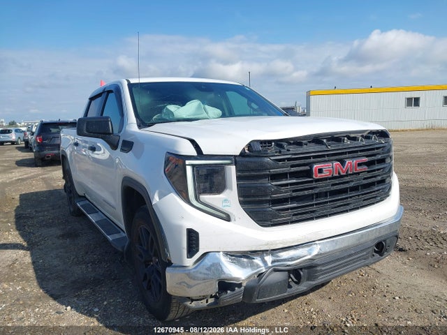 Продаж на аукціоні авто 2023 Gmc Sierra K1500, vin: 1GTUUAED3PZ157504, номер лоту: 12670945