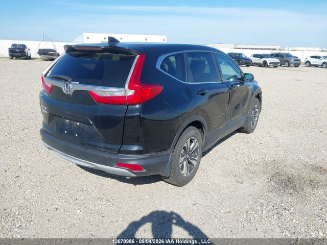 12670986 :رقم المزاد ، 2HKRW1H39HH000409 vin ، 2017 Honda Cr-v Lx مزاد بيع