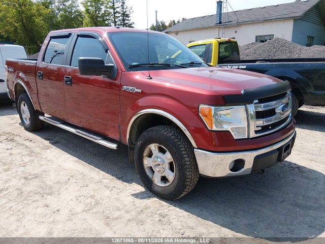 Ford F-150 Fx4/king Ranch/lariat/platinum/xlt 2014 1FTFW1EF5EKE75280 main image