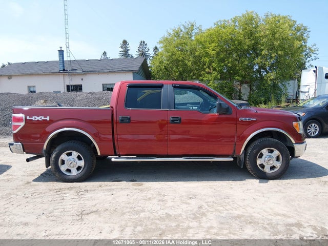 Продажа на аукционе авто 2014 Ford F-150 Fx4/king Ranch/lariat/platinum/xlt, vin: 1FTFW1EF5EKE75280, номер лота: 12671065