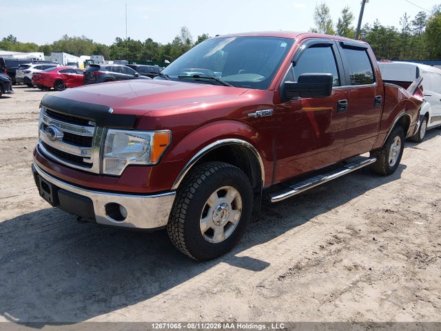 Продажа на аукционе авто 2014 Ford F-150 Fx4/king Ranch/lariat/platinum/xlt, vin: 1FTFW1EF5EKE75280, номер лота: 12671065