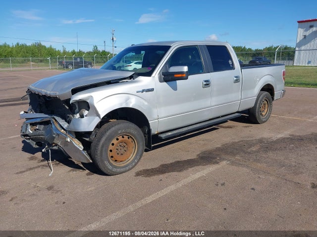 12671195 :رقم المزاد ، 1FTFW1E83AFB32214 vin ، 2010 Ford F-150 Xlt مزاد بيع