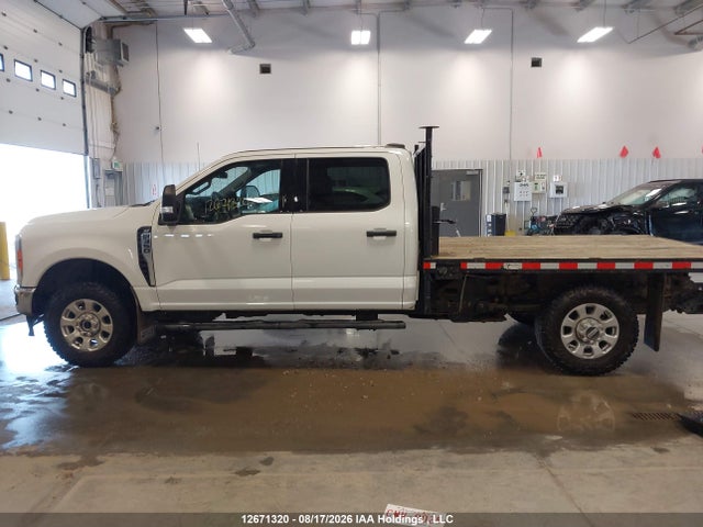 Ford F350 Super Duty 2023 1FT8W3BN9PEC52774 Image 12