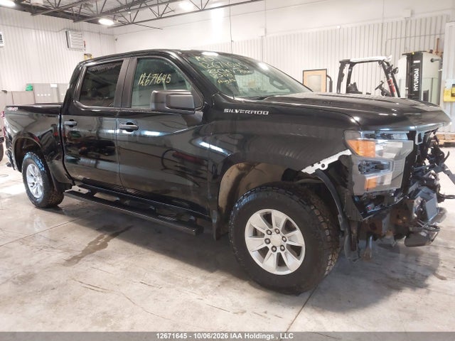 2023 Chevrolet Silverado 1500 Work Truck მანქანა იყიდება აუქციონზე, vin: 3GCPDAEKXPG183173, აუქციონის ნომერი: 12671645