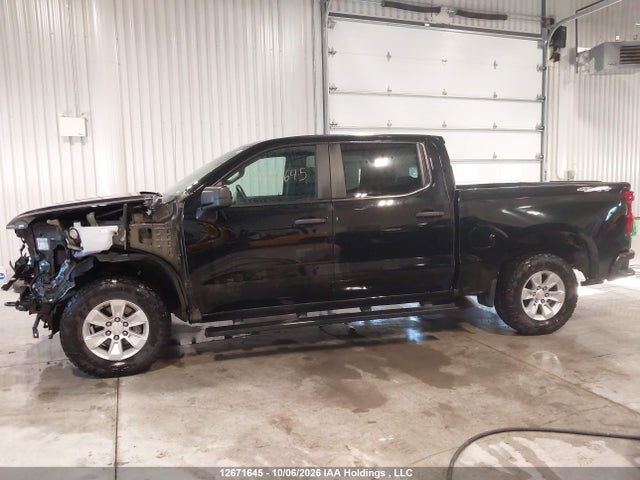 2023 Chevrolet Silverado 1500 Work Truck მანქანა იყიდება აუქციონზე, vin: 3GCPDAEKXPG183173, აუქციონის ნომერი: 12671645