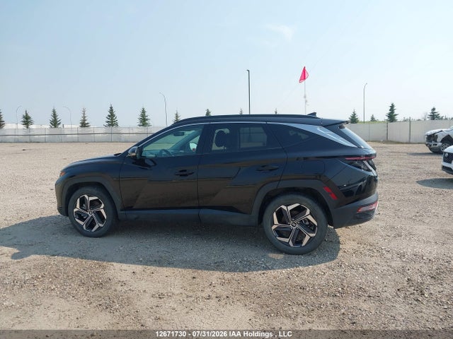 Hyundai Tucson Sel Convenience 2024 KM8JCCD16RU174964 Image 11
