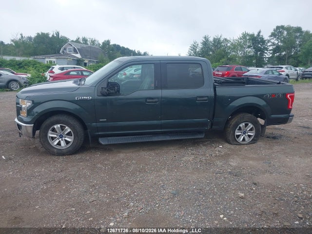 Ford F150 Supercrew 2015 1FTEW1EP8FFC55310 Image 13