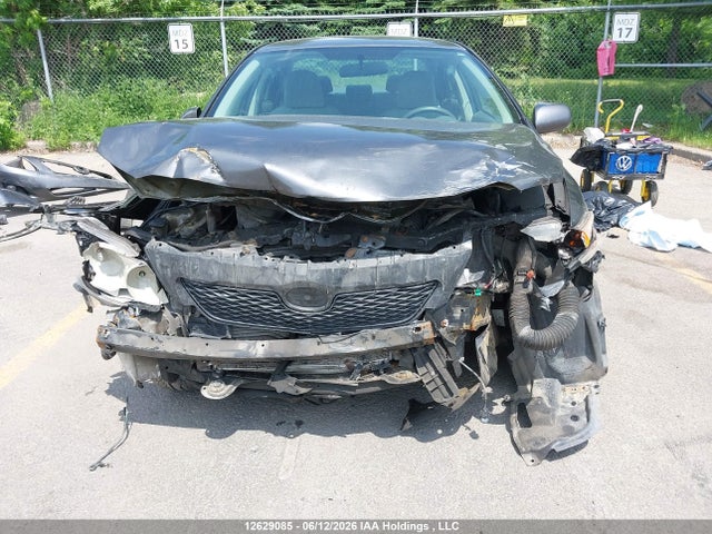 Auction sale of the 2009 Toyota Corolla Le, vin: 2T1BU40E09C021207, lot number: 12629085